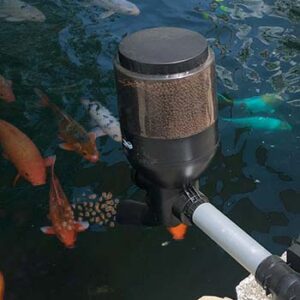 Fish Feeder