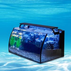 Fish Tank