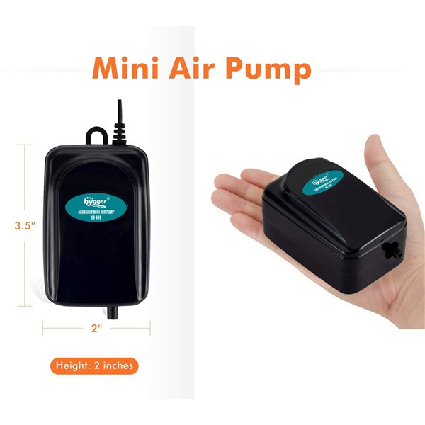 What Does an Air Pump Do in Aquarium - hygger