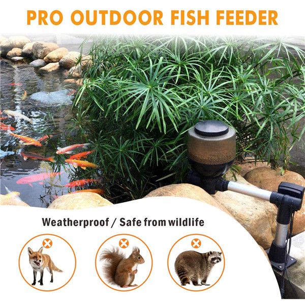 fish feed and grow - hygger